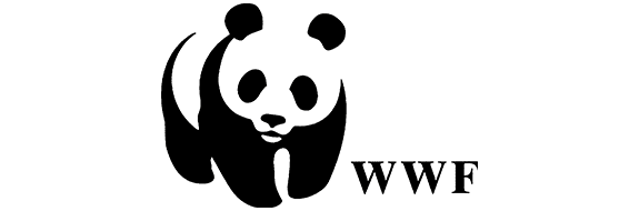 The World Wildlife Fund has one of the best nonprofit logos.