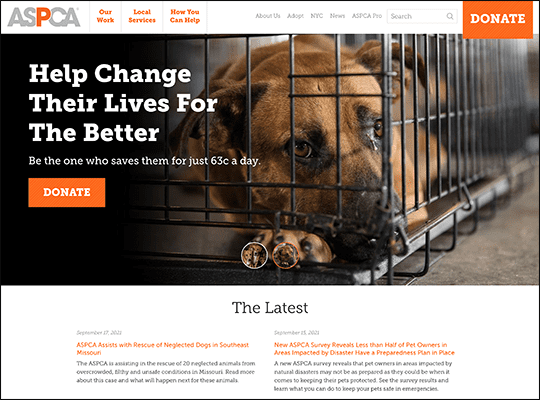 American Society for the Prevention of Cruelty to Animals has one of the best nonprofit websites.