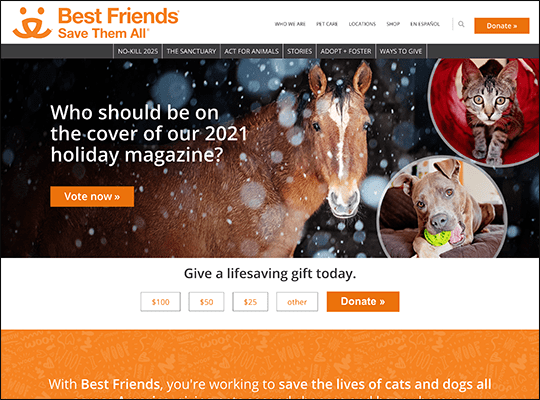 Best Friends Animal Society has one of the best nonprofit websites.