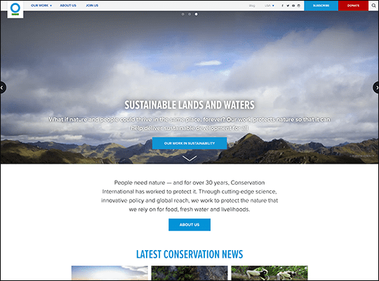 Conservation International Foundation has one of the best nonprofit websites.