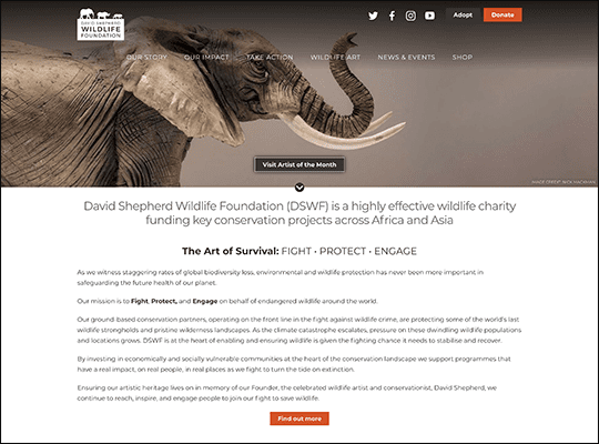 David Shepherd Wildlife Foundation has one of the best nonprofit websites.