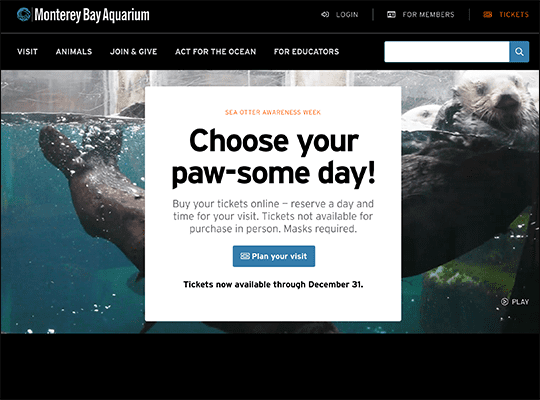 Monterey Bay Aquarium has one of the best nonprofit websites.
