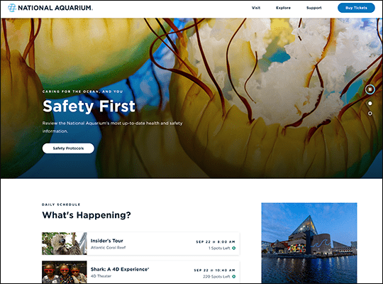 The National Aquarium has one of the best nonprofit websites.