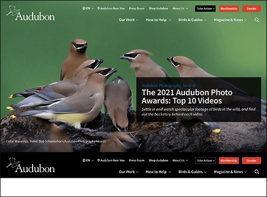 The National Audubon Society has one of the best nonprofit websites.