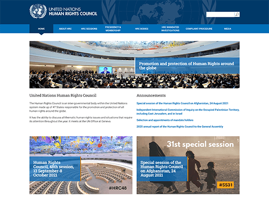 UN Human Rights Council has one of the best nonprofit websites.