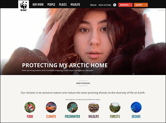 The World Wildlife Fund has one of the best nonprofit websites.
