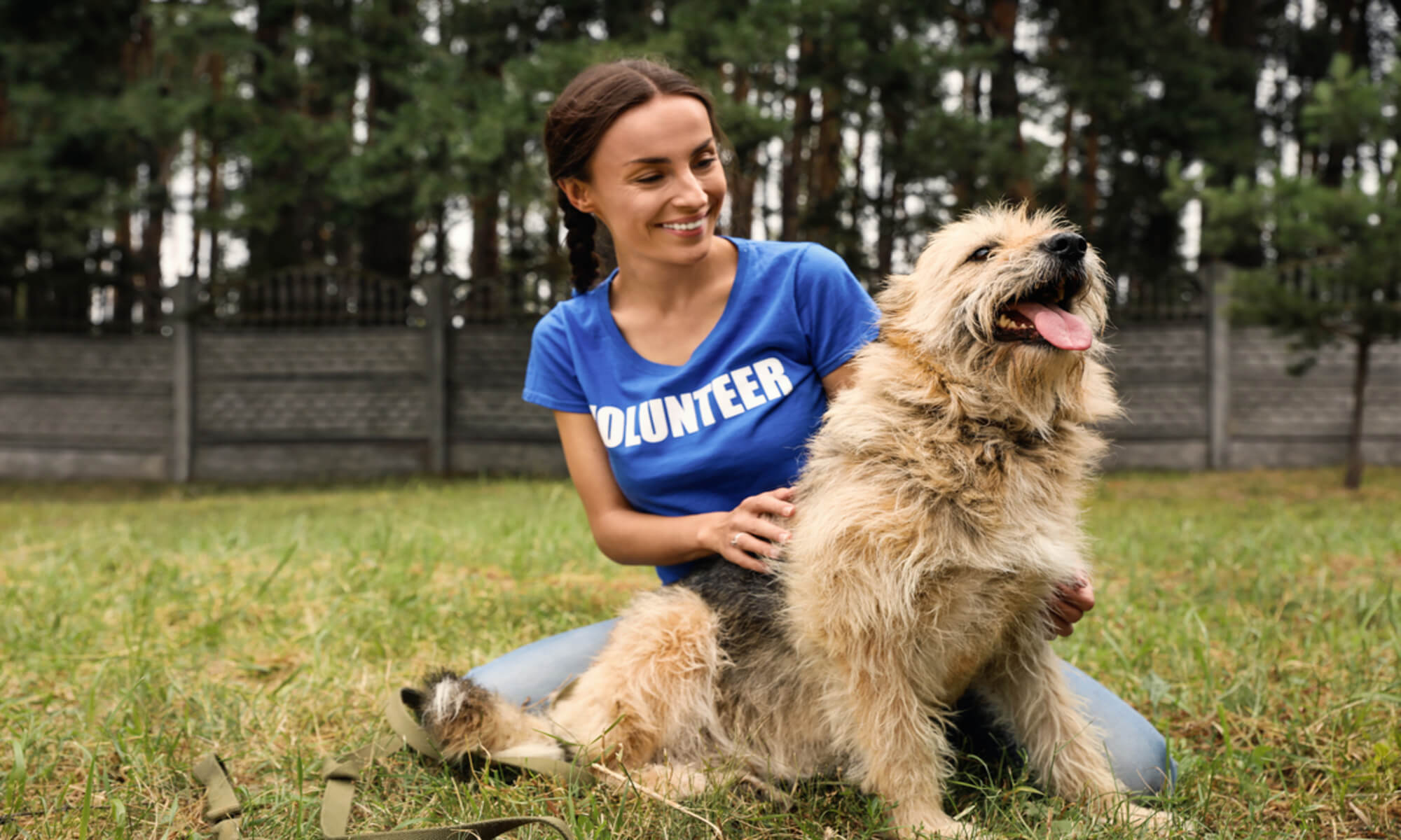 Recruit volunteers for your animal-focused nonprofit with these tips.